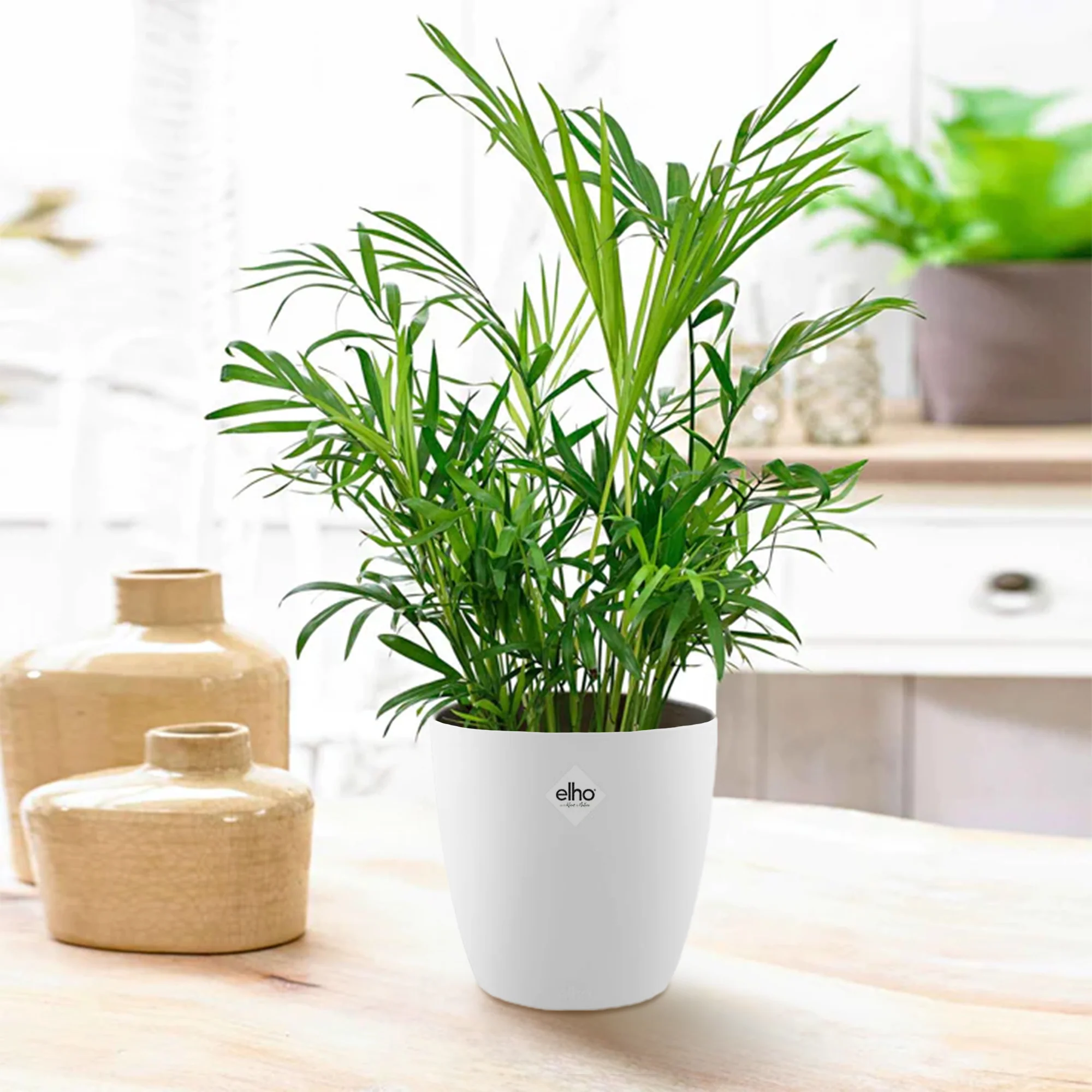 Miniatuur 1