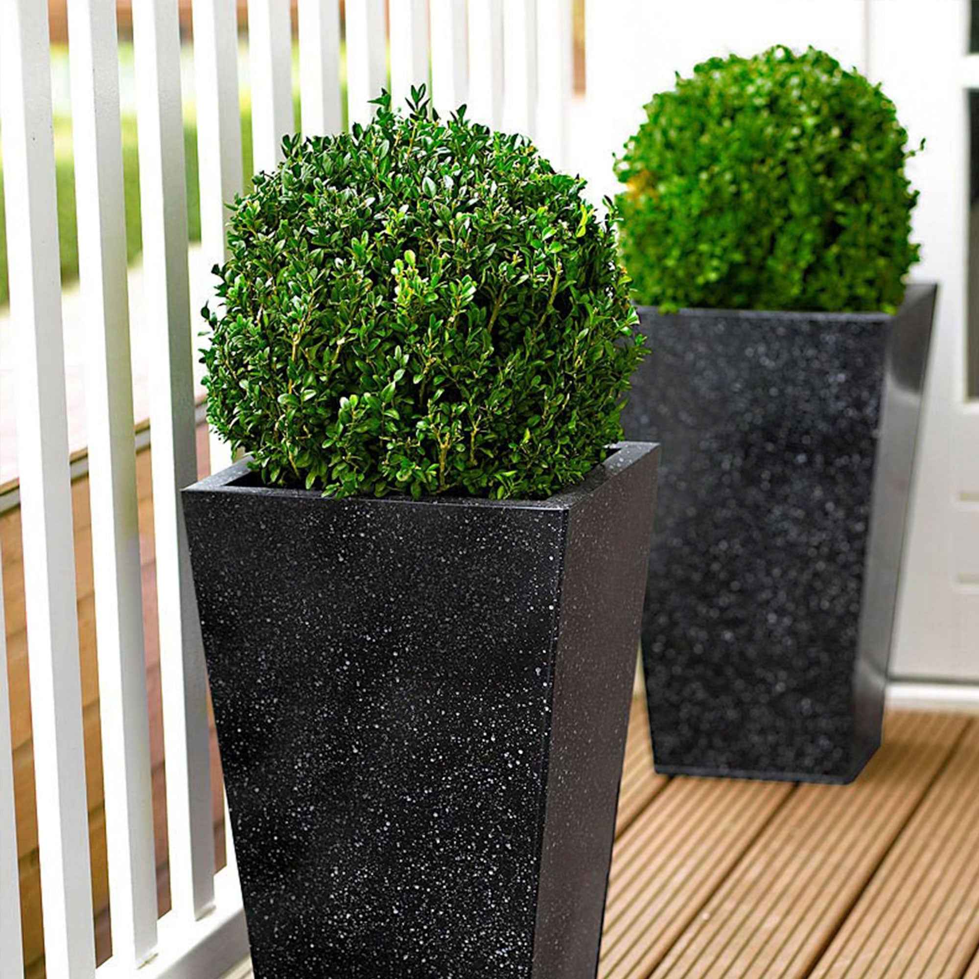 Miniatuur 1