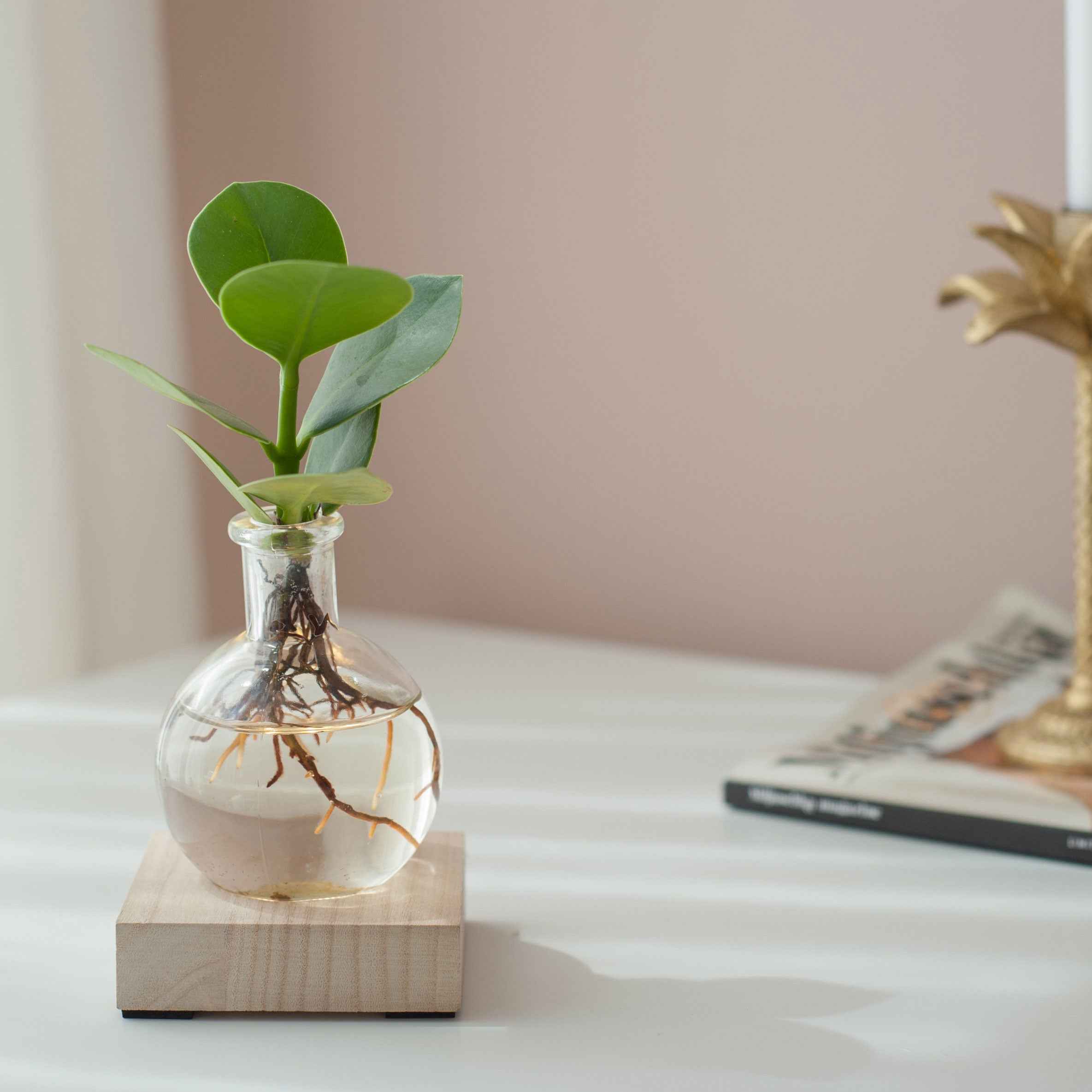 Miniatuur 1