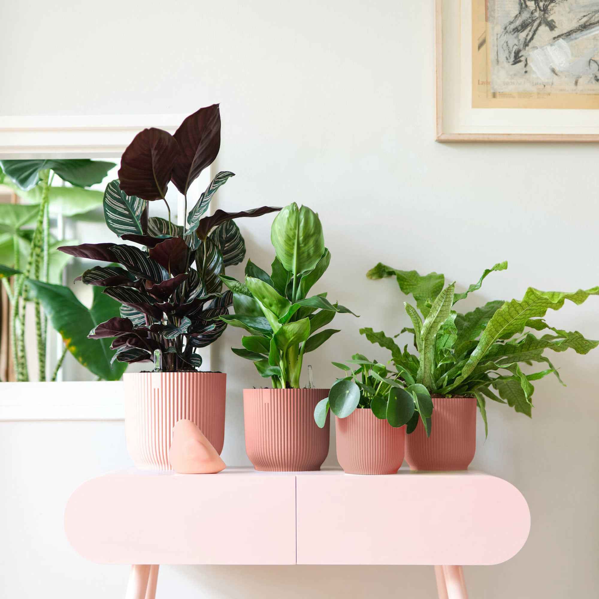 Miniatuur 1