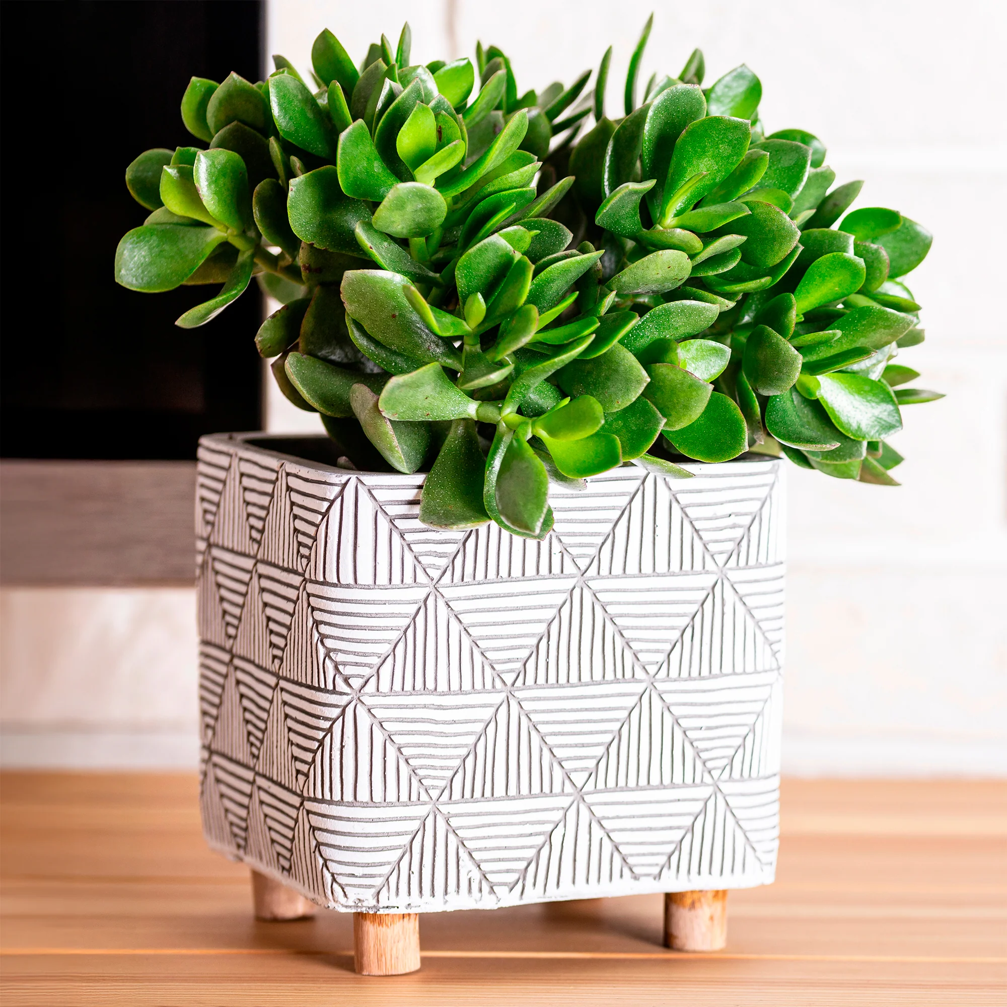 Miniatuur 1