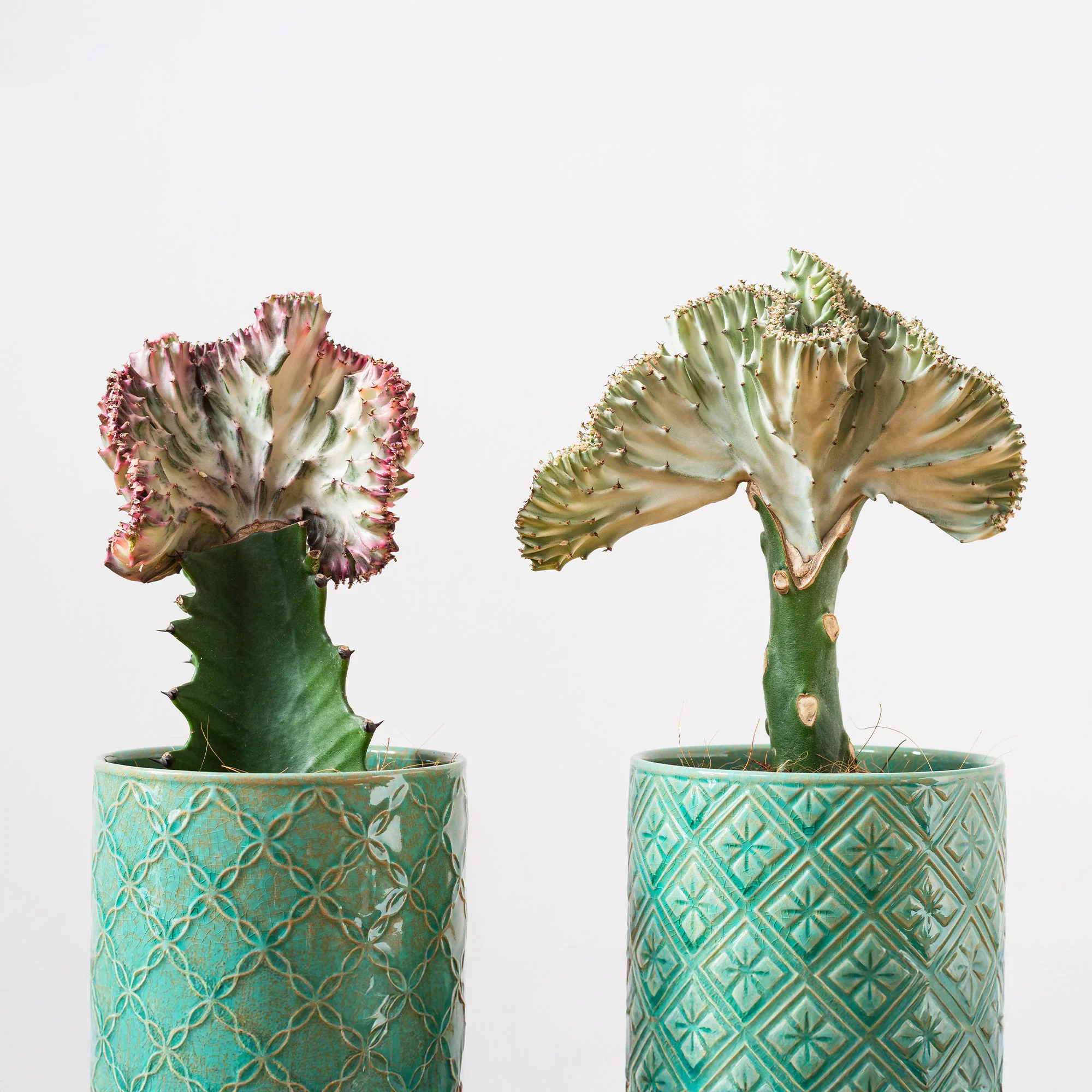 Miniatuur 2