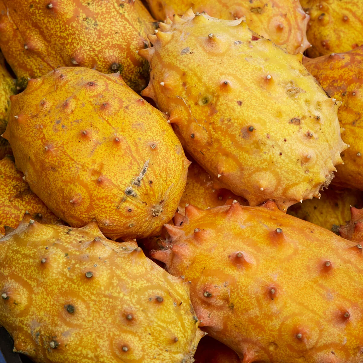Miniatuur 2