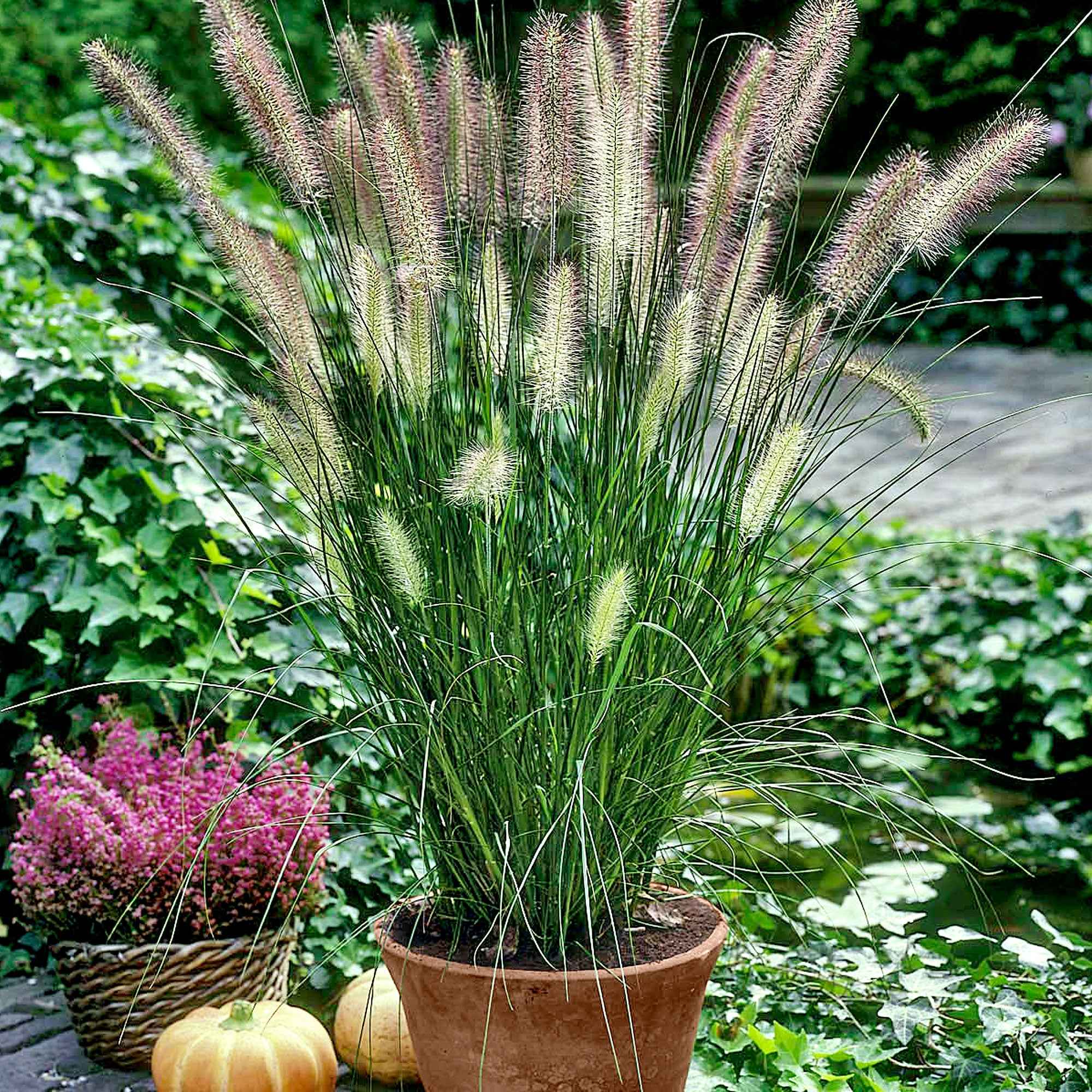 Miniatuur 2