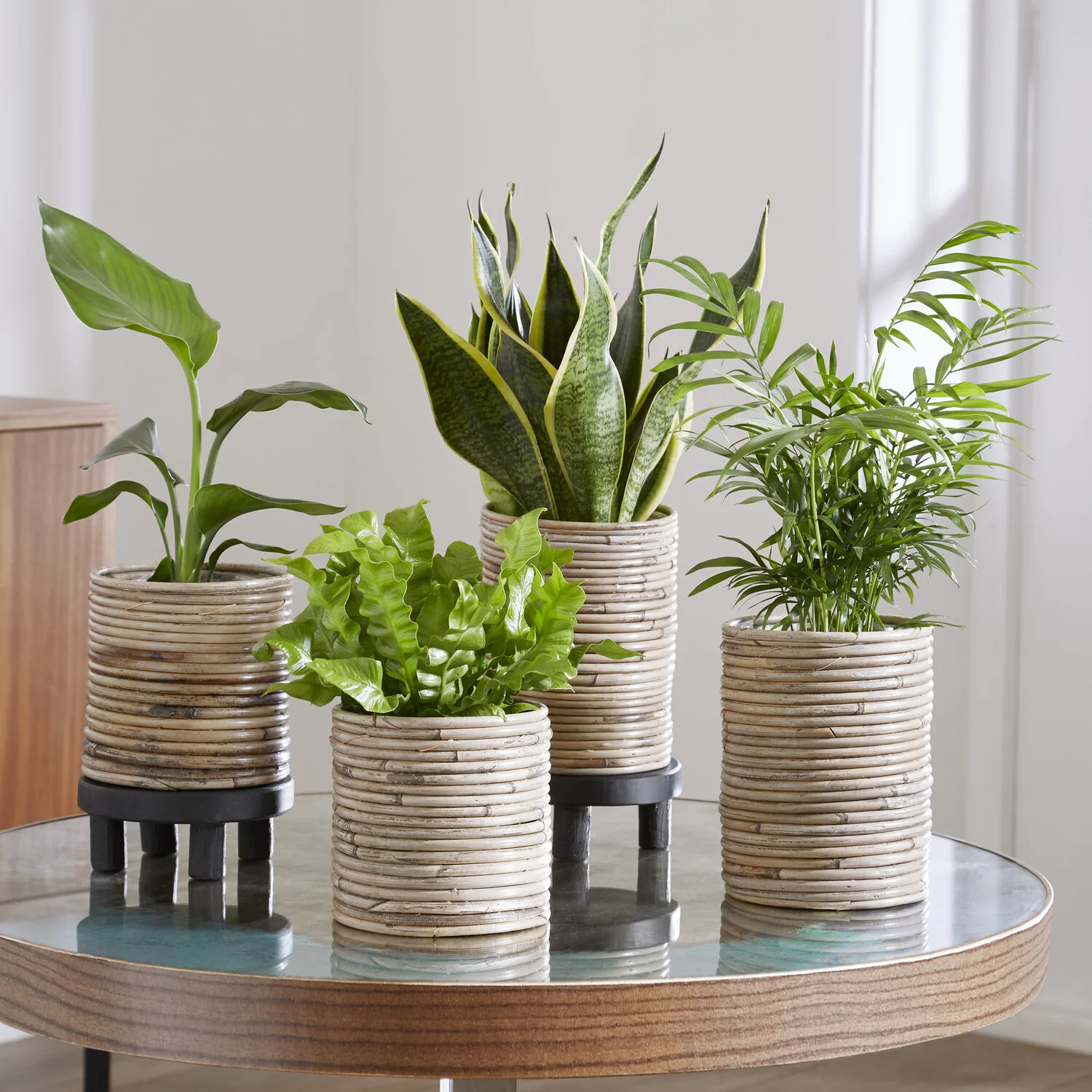 Miniatuur 1