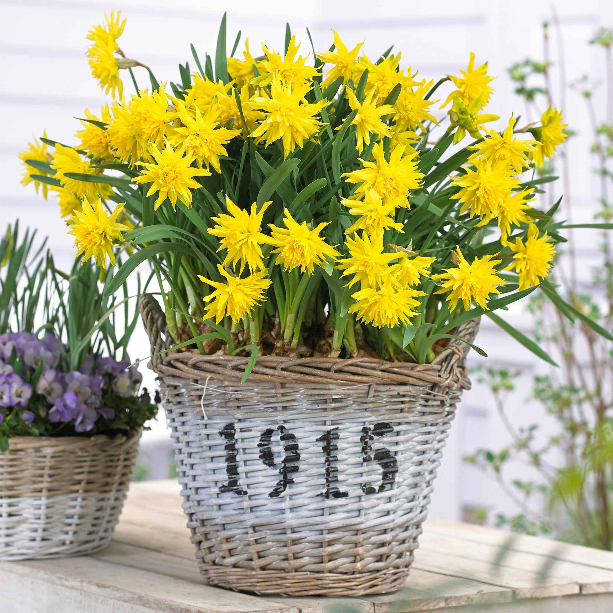 Miniatuur 1