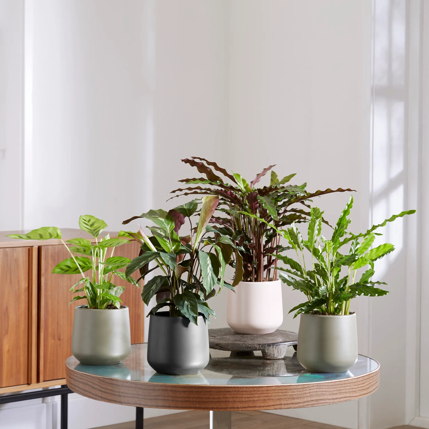 Miniatuur 1