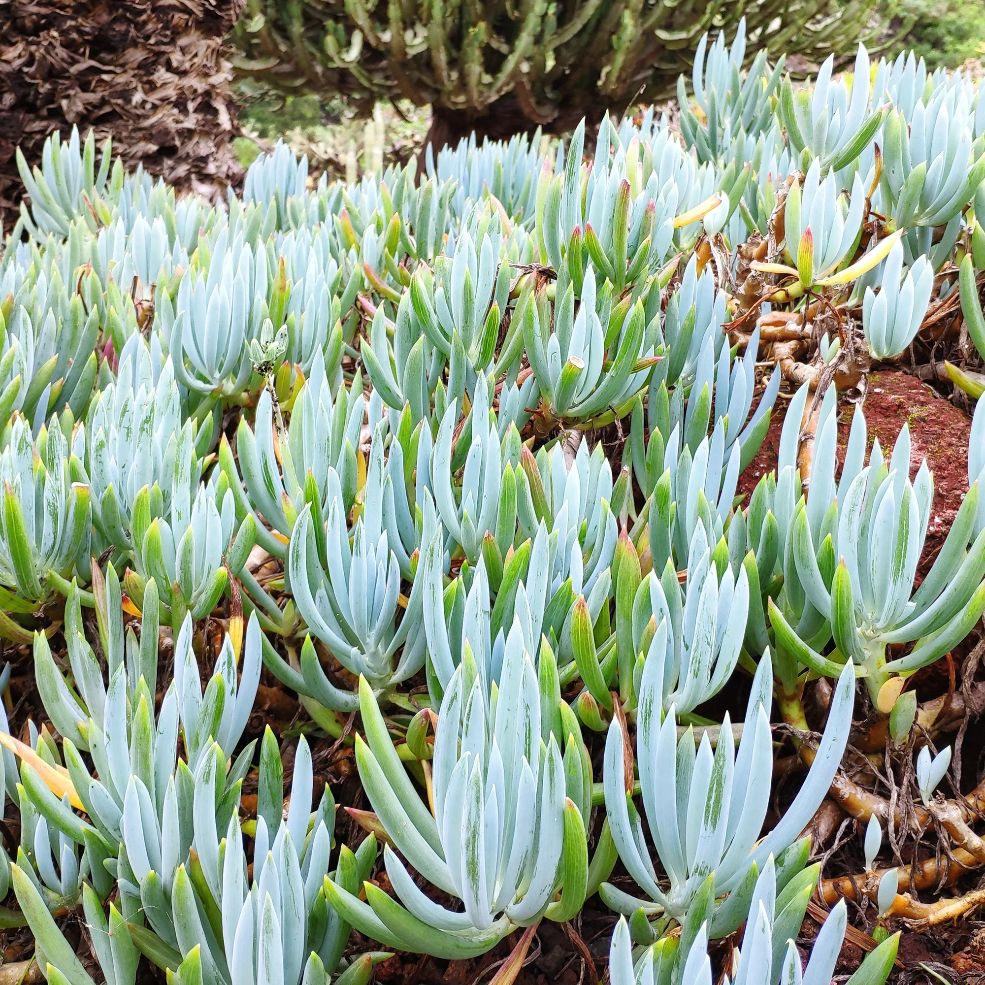 Miniatuur 2