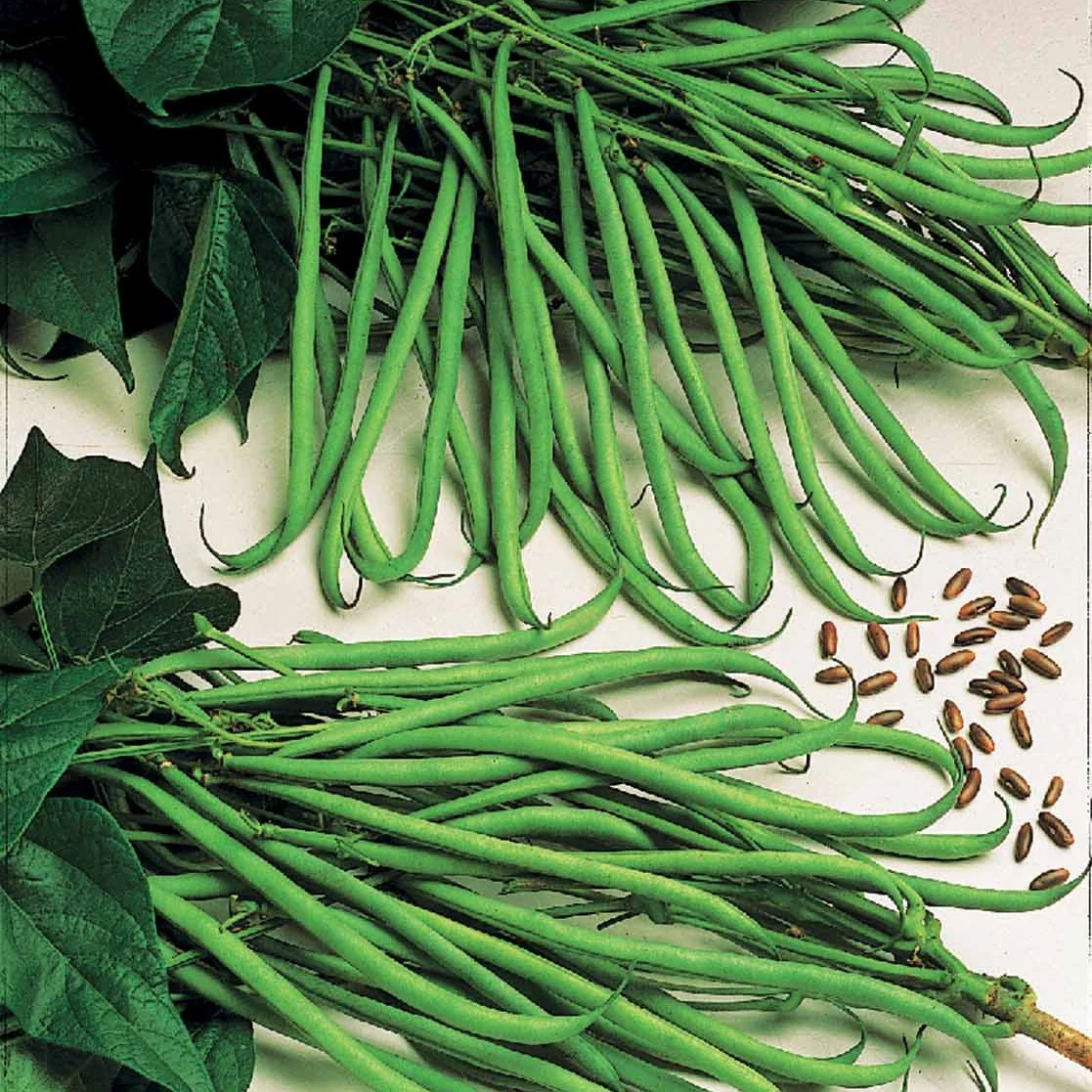 Miniatuur 1