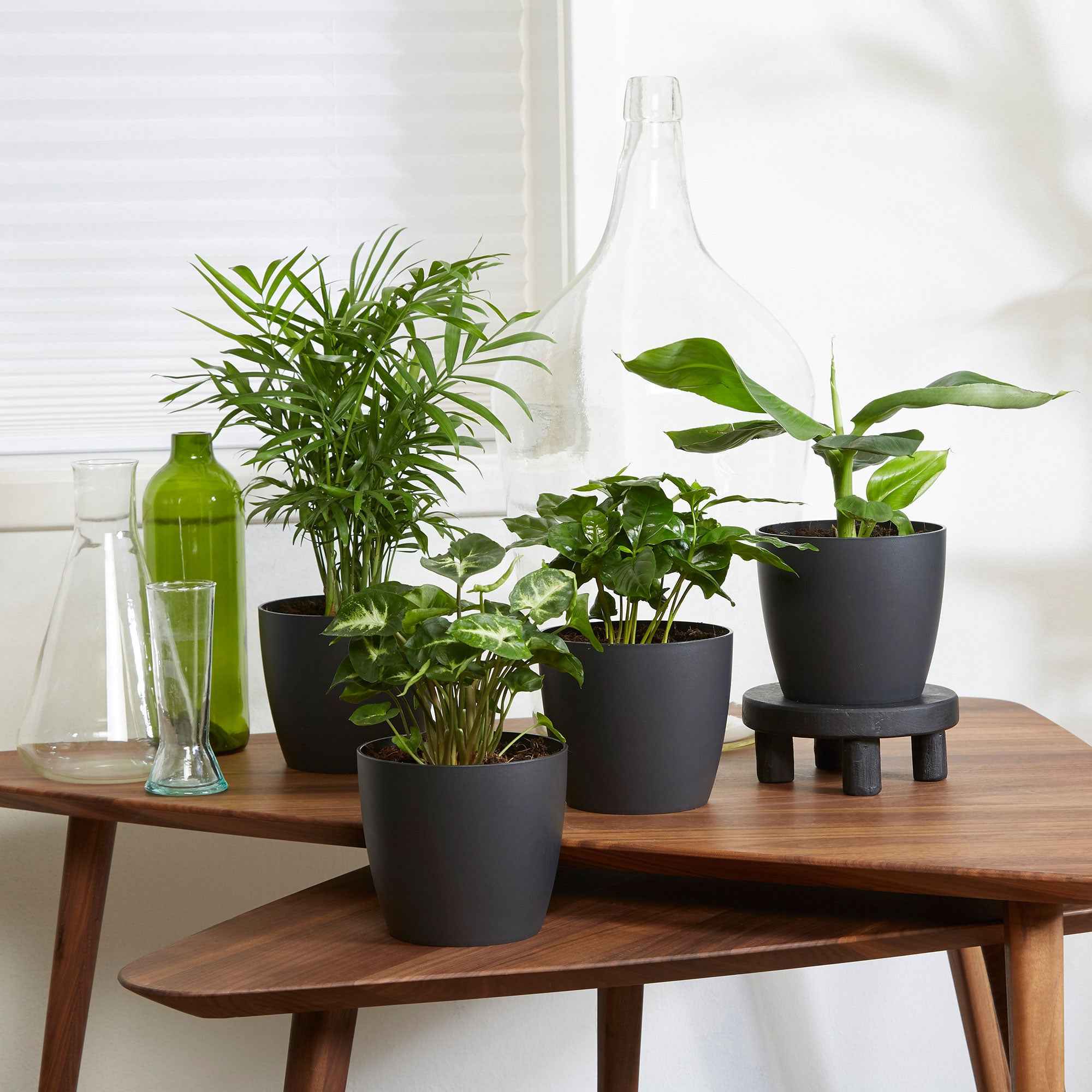 Miniatuur 1