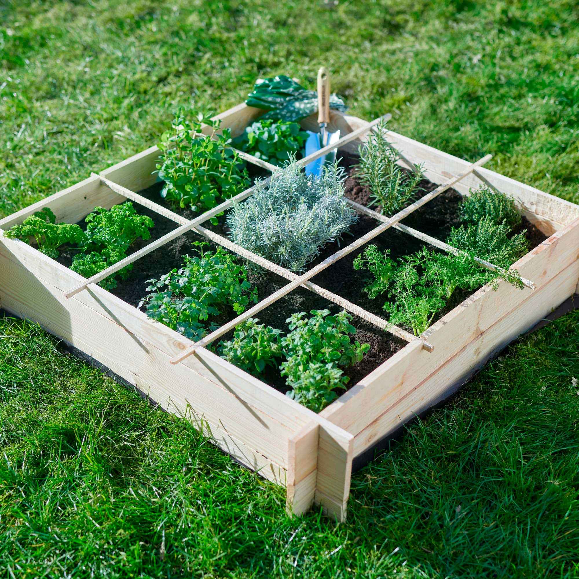 Miniatuur 1