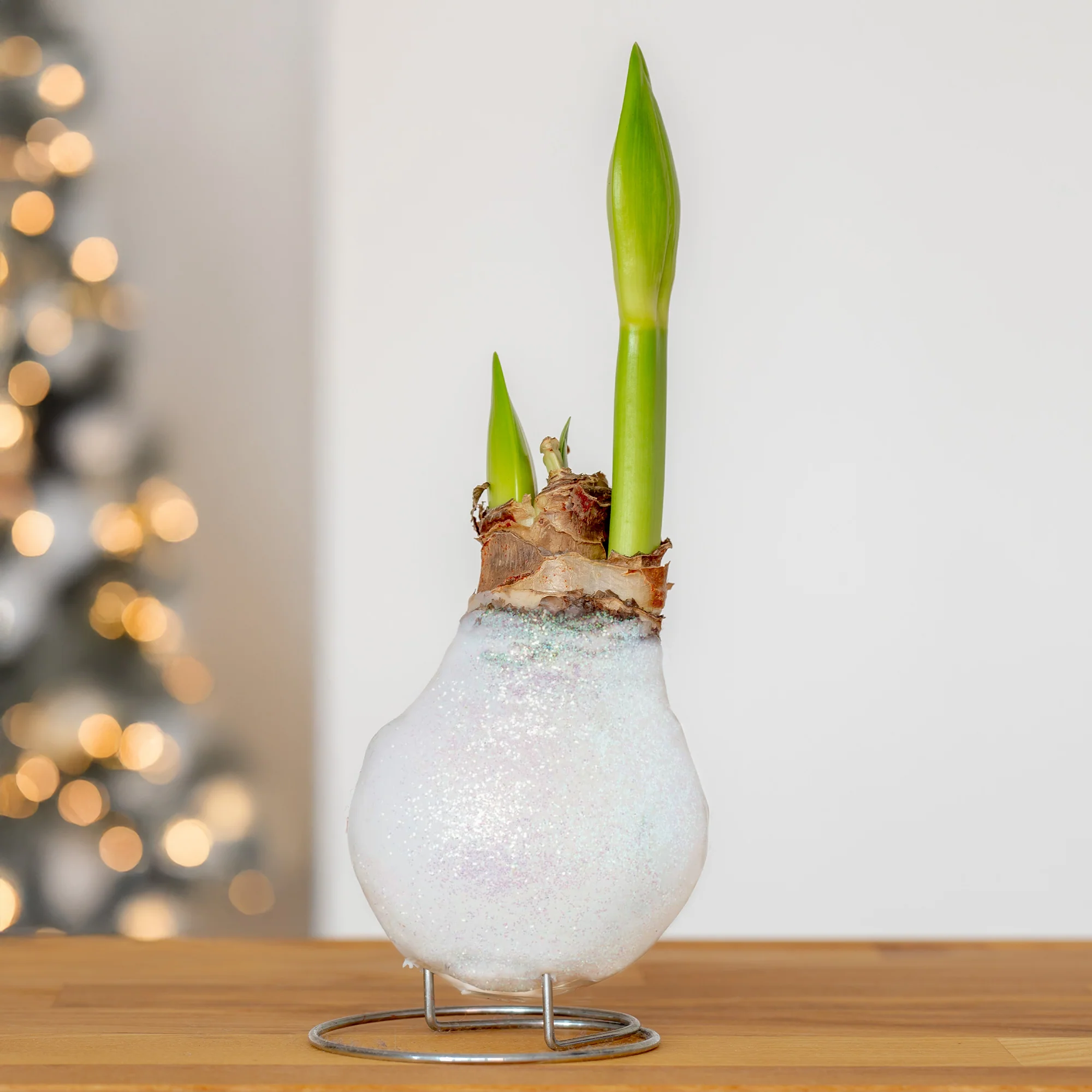 Miniatuur 1